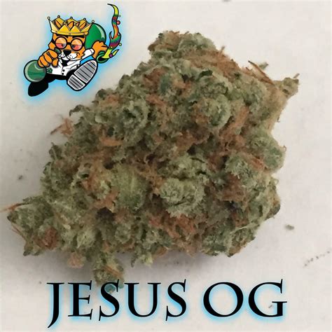 jesus rolex weed|Jesus OG Marijuana Strain Information & Reviews.